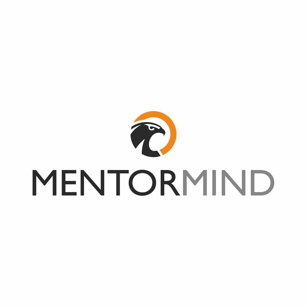 Mentor Mind - szkolenia i warsztaty dla firm, consulting i organizacja ...